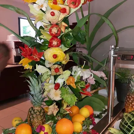 丽都酒店 酒店 科斯镇