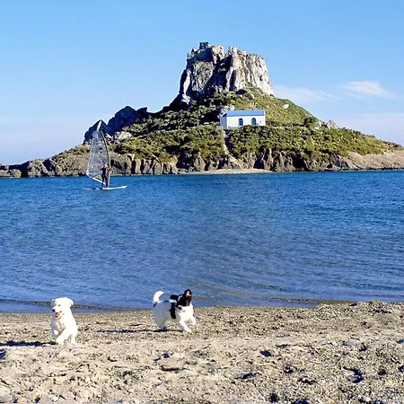 מלון Cosmopolitan